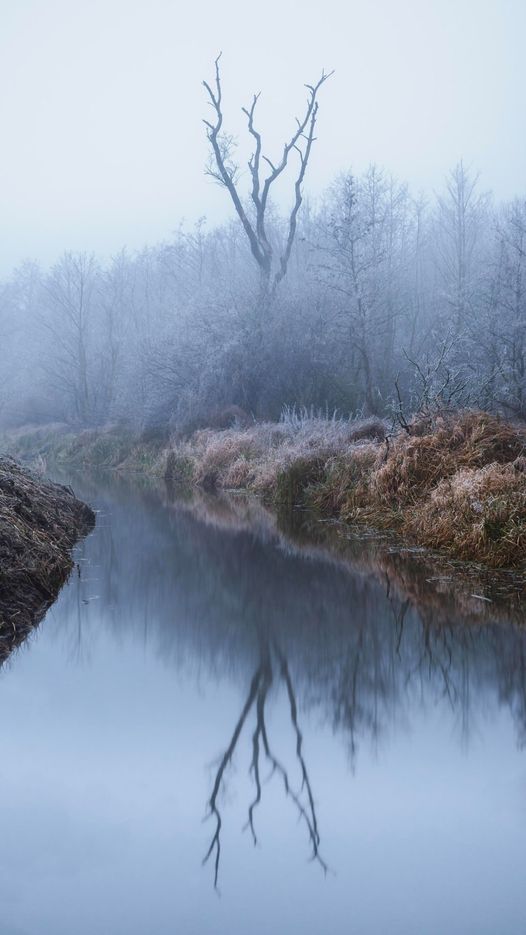 Cold foggy morning, Bzura river valley, Poland... 1