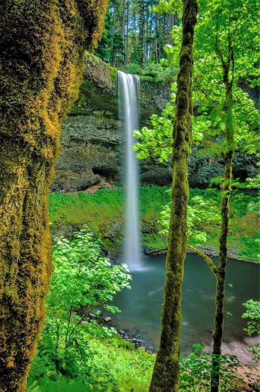 Silver Falls State Park,Oregon USA... 2