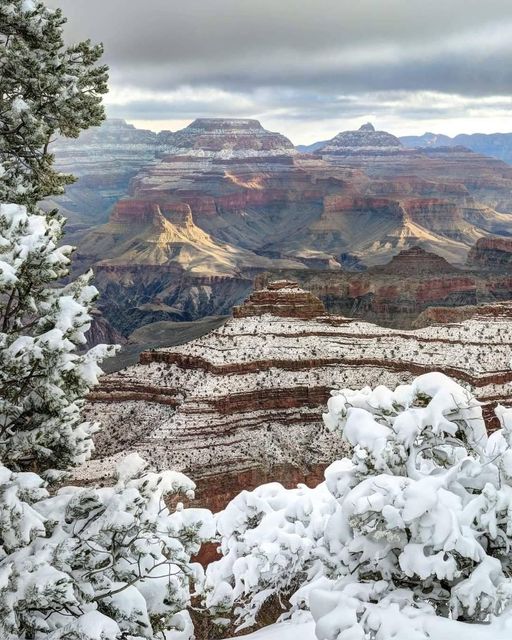 The Grand Canyon in the winter... 3