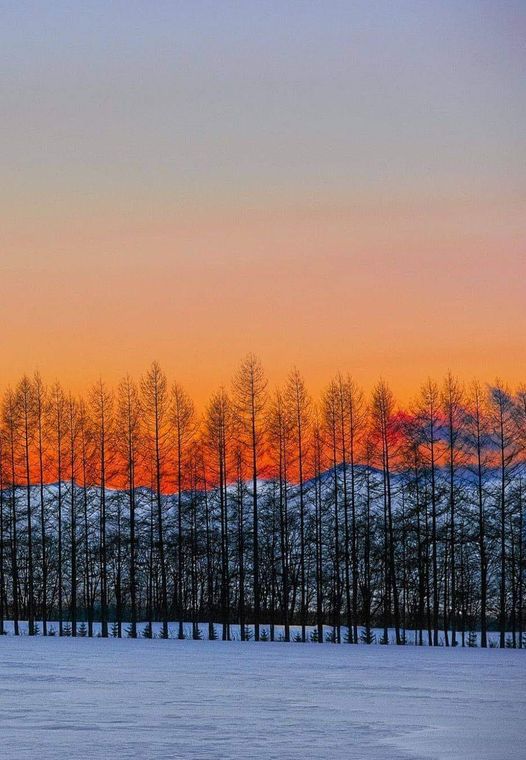Winter sunset - Hokkaido - Japan .... 1