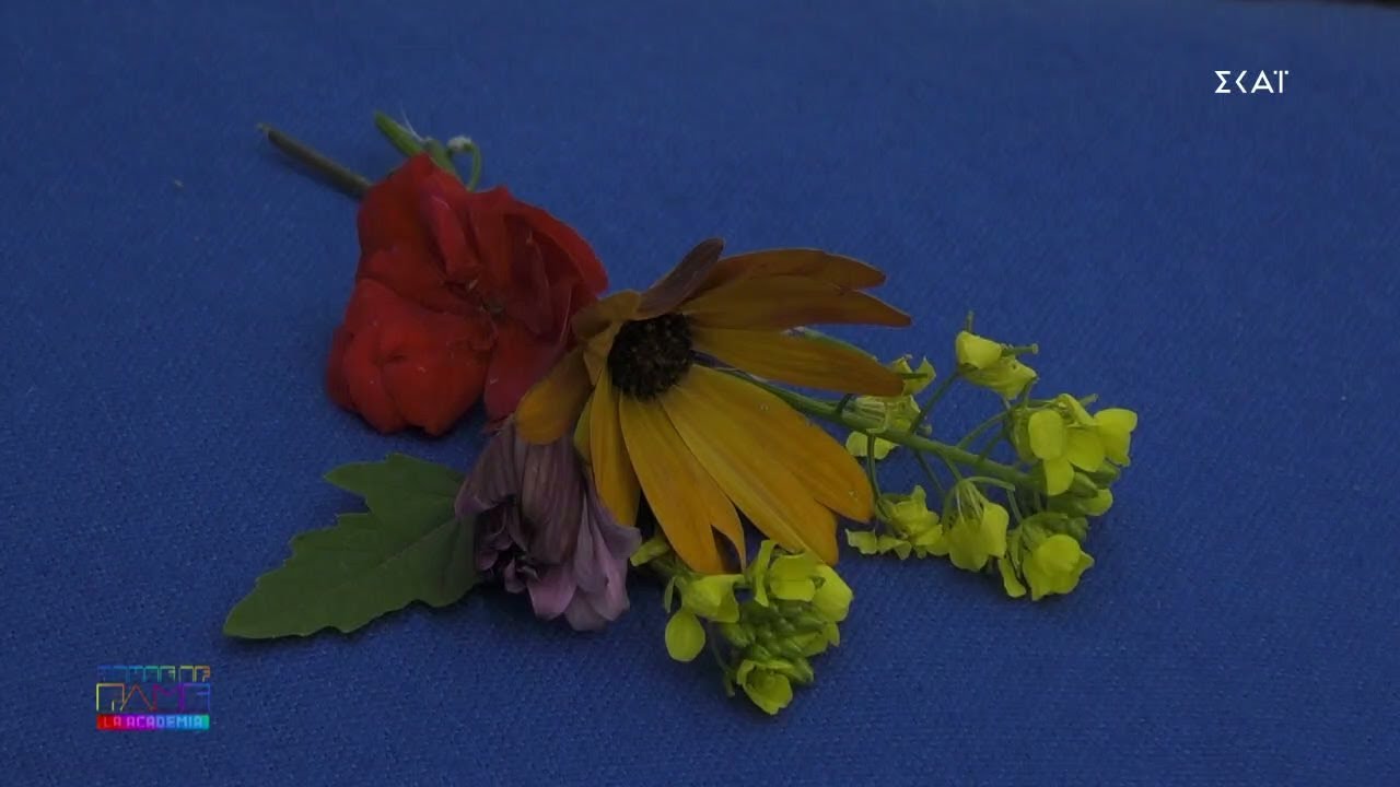 Τα λουλούδια του Γιώργου Ν. στην Έλενα κι αντίδραση της | House of Fame | 13/04/2021