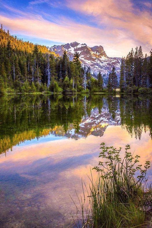 Beautiful reflection of Sierra Nevada Mountains!... 3