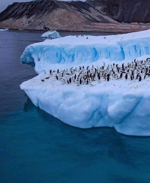 Antarctica... 8