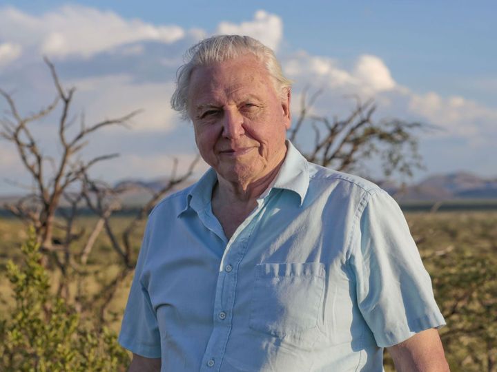Happy Birthday to David Attenborough who turns 95 today!... 2