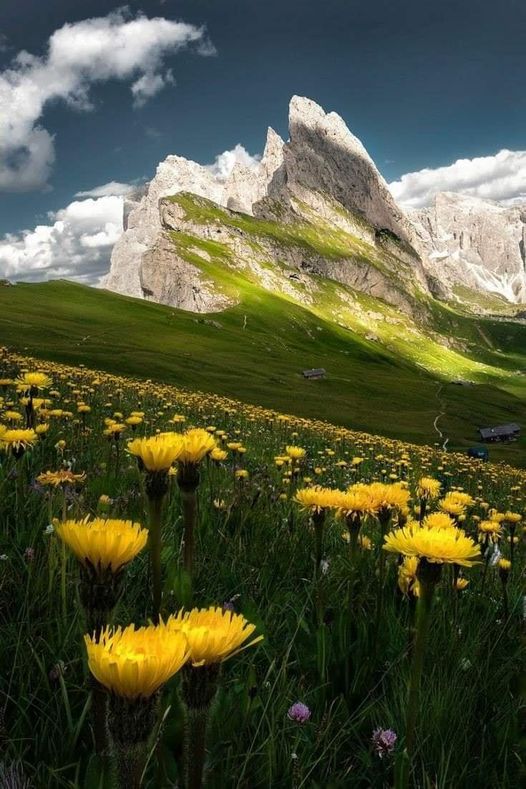 Seceda Mountain in Italy... 3