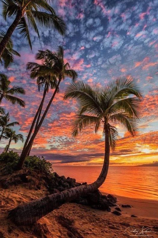 Beautiful sunset on Maui, which is an island in the Central Pacific that forms p... 2