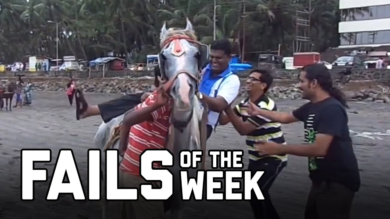 Horsing Around: Fails of the Week (August 2020)