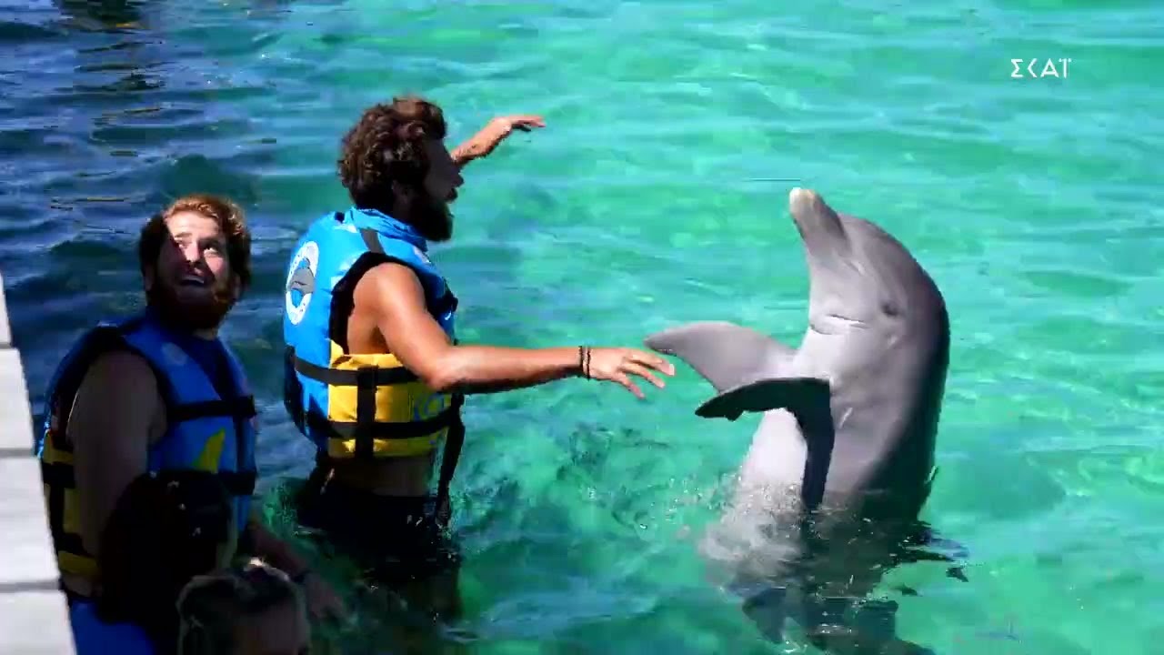 Πούντα Κάνα και δελφίνια για τους Μπλε