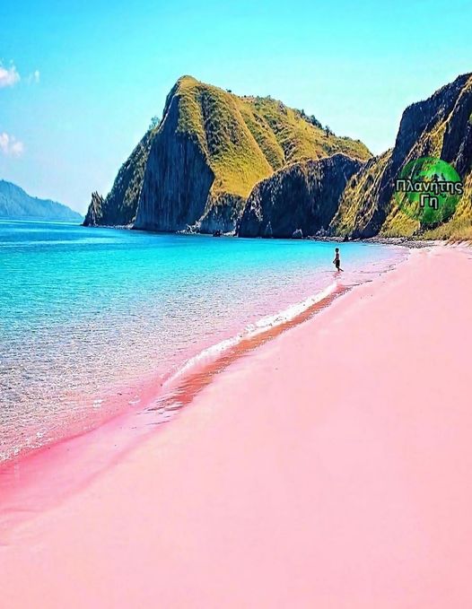 Η ροζ παραλία του Komodo Ινδονησία , είναι μία από τις επτά ροζ παραλίες άμμου σ...