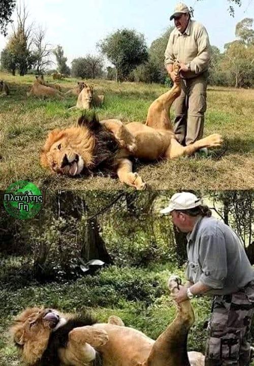 Ο Βρετανός Άλεξ Λάρεντι ζει σε ένα πάρκο άγριων ζώων στη Νότια Αφρική και περνά ...
