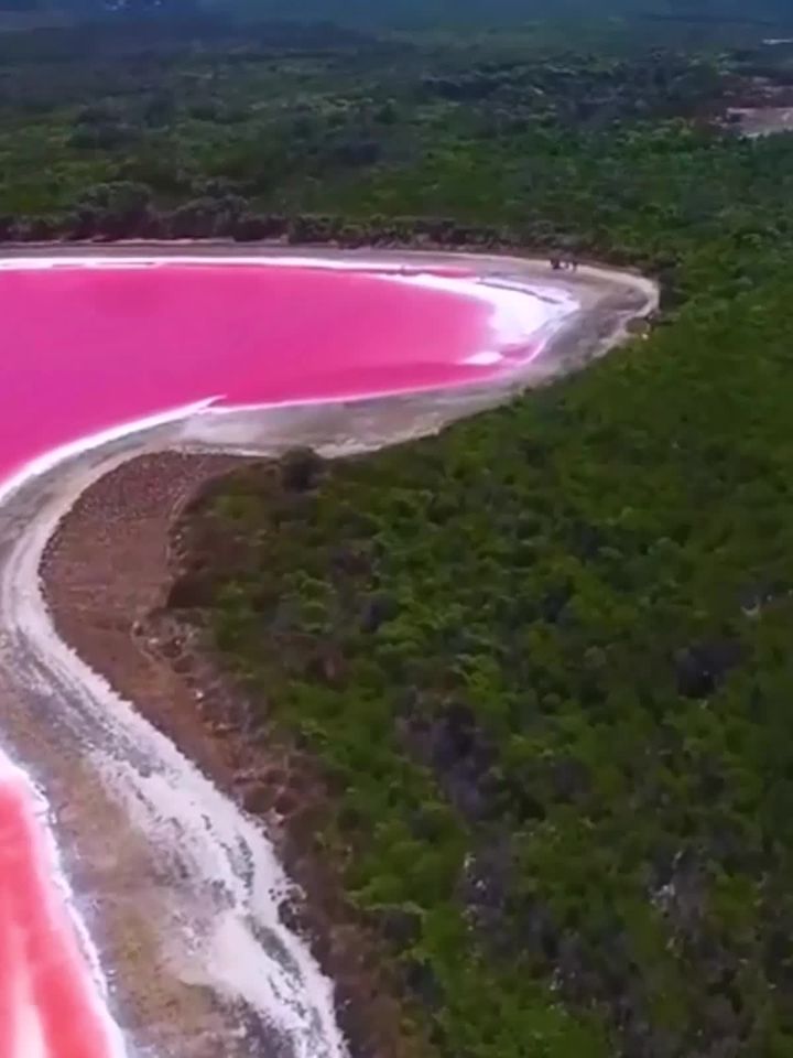 Ροζ λίμνη Αυστραλία... 1