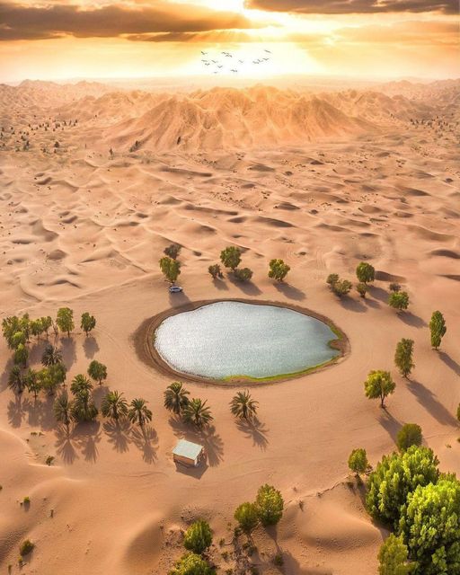 A lake among sand dunes in Abu Dhabi...