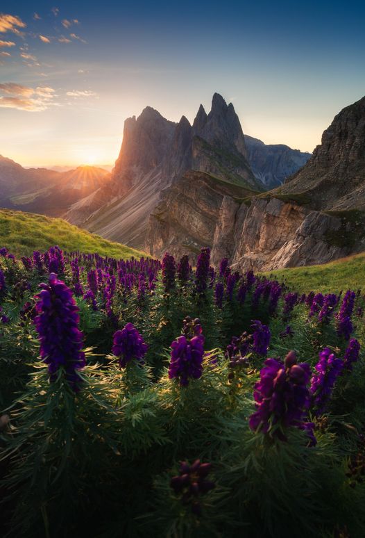 “Summer in Dolomites” by Marco Grassi... 1