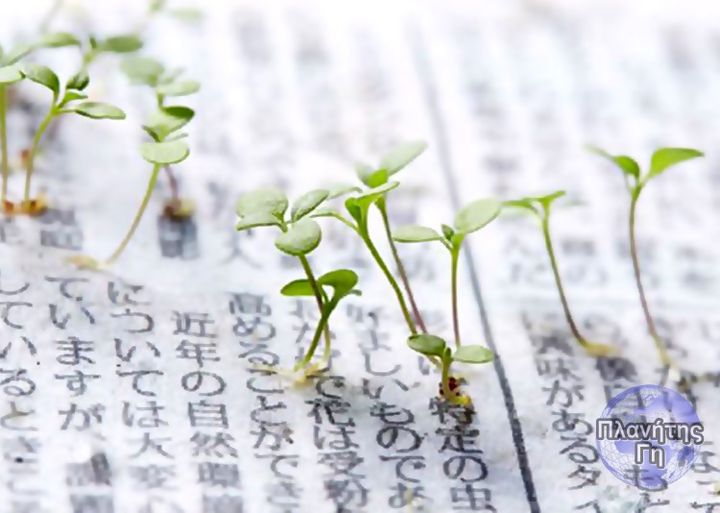 Στην Ιαπωνία, η ′′ Πράσινη εφημερίδα ′′ τυπώθηκε σε ανακυκλωμένο και φυτικό χαρτ... 1