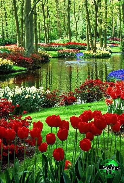 Βοτανικός κήπος στη Λισσα της Ολλανδίας....