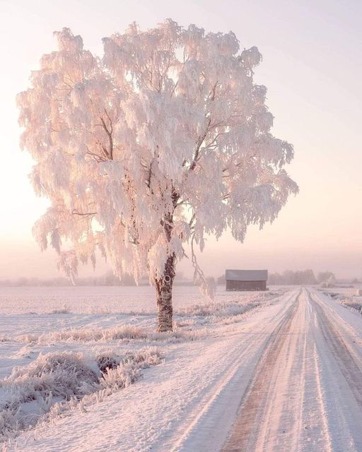Χειμώνας στη Φινλανδία....
