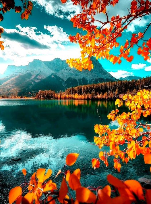 Autumn in Canmore, Canada... 1