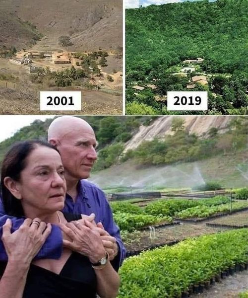 Ένα ζευγάρι σε ενα χωριο στη Βραζιλία φύτεψε εκατομμύρια δεντρακια και δημιούργη...