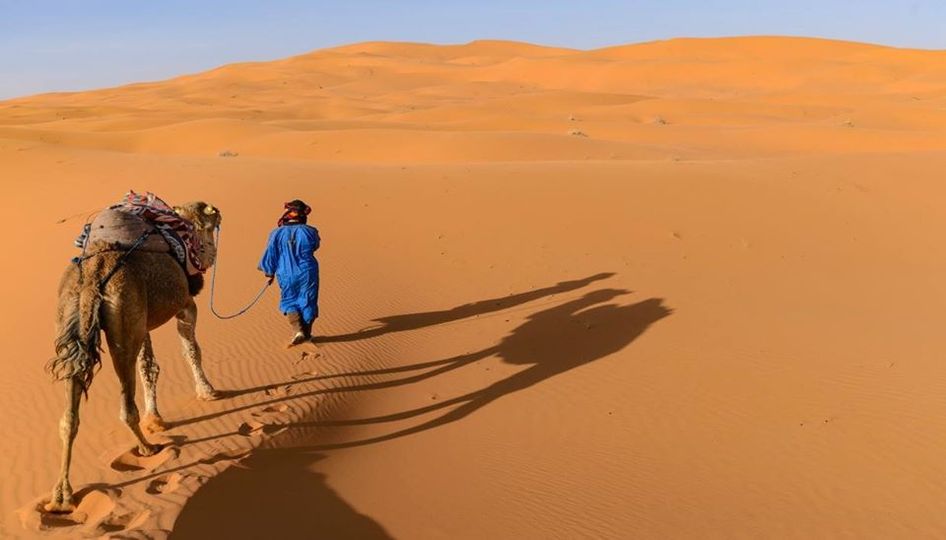 Γνωρίζετε ότι, στη Σαχάρα κατά τη διάρκεια του καλοκαιριού, ενώ τη μέρα η θερμοκ... 1