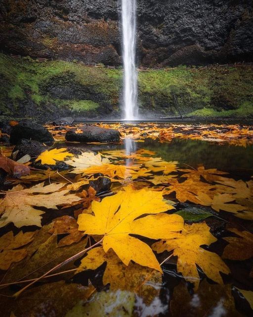 Oregon, United States ryanapisaneschi... 1
