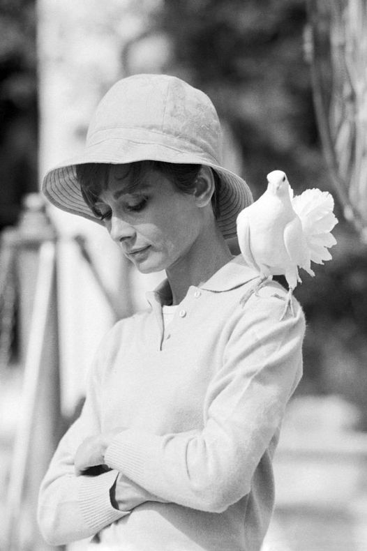 Audrey Hepburn photographed by Terry O'Neill....