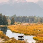 Εθνικό Πάρκο Grand Teton, ΗΠΑ ms.madison...