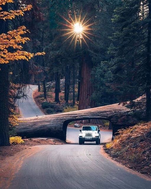 Εθνικό Πάρκο Sequoia, Καλιφόρνια, ΗΠΑ... 1