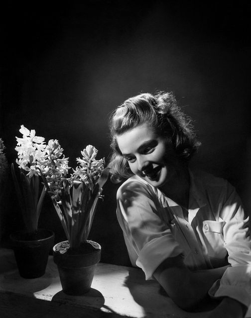 Φωτογραφικό πορτρέτο της Ingrid Bergman από τον George Hoyningen-Huene, 1940.... 1