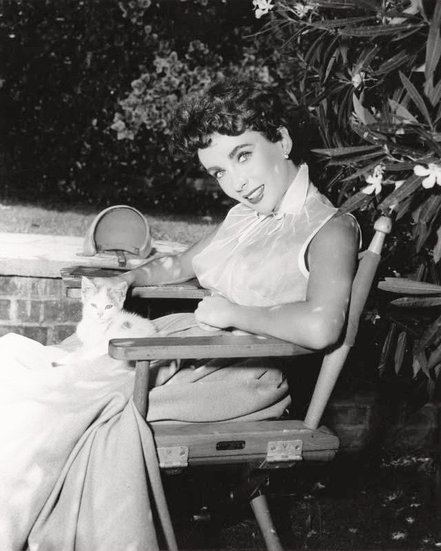 Η Elizabeth Taylor με ένα γατάκι στα γυρίσματα του The Girl Who Had Everything, 1953... 2