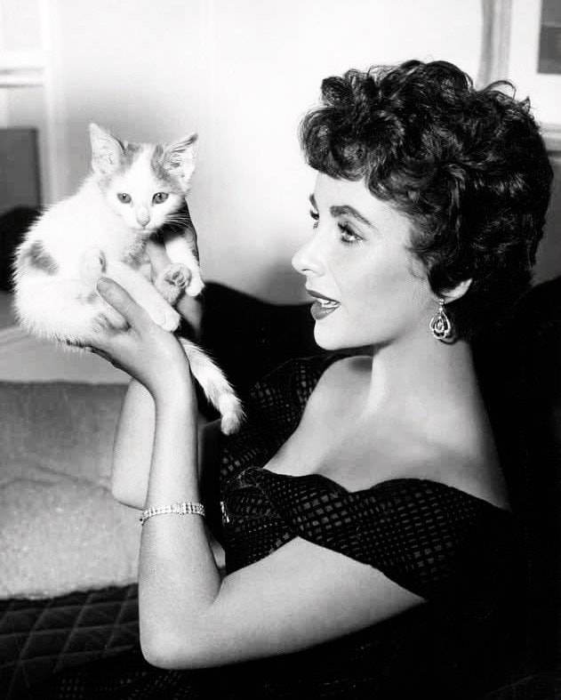 Η Elizabeth Taylor με ένα γατάκι στα γυρίσματα του The Girl Who Had Everything, 1953... 3