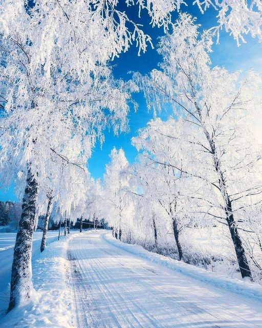 Χειμώνας στη Φινλανδία... 1