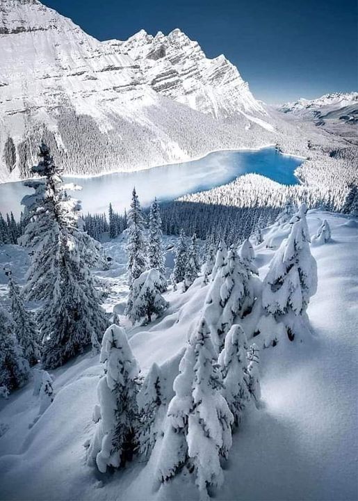 Peyto Lake, Banff, Αλμπέρτα, Καναδάς... 1