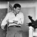 Rod Taylor (11 Ιανουαρίου 1930 - 7 Ιανουαρίου 2015) στο The Birds (1963).