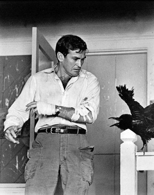 Rod Taylor (11 Ιανουαρίου 1930 - 7 Ιανουαρίου 2015) στο The Birds (1963). 1