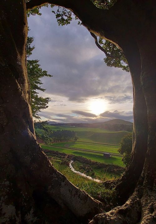 Άποψη της Σκωτίας μέσα από τα δέντρα... 1