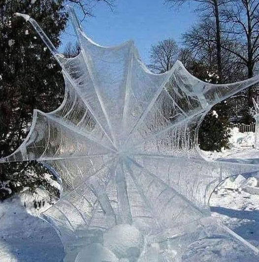 Όταν η φύση δημιουργεί τέχνη.. Παγωμένος ιστός αράχνης... 1