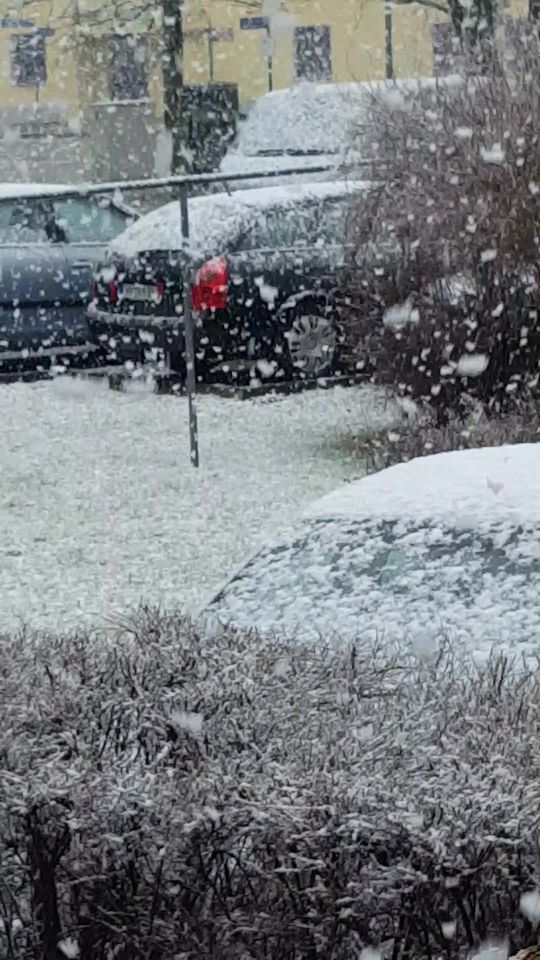 Γερμανία, Hoyerswerda σήμερα ....βαρύ χιόνι!!!!... 1
