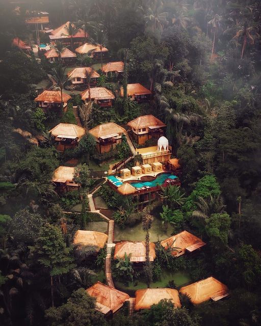 Ζούγκλες του Μπαλί, Ινδονησία... 1