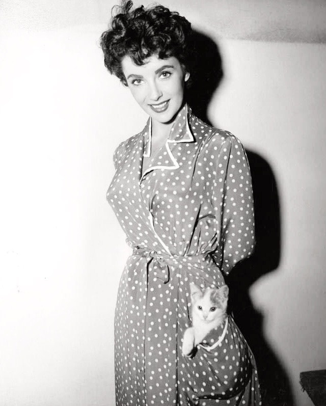 Η Elizabeth Taylor με ένα γατάκι στα γυρίσματα του The Girl Who Had Everything, 1953... 1