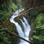 «Μια βόλτα σε ένα καταπράσινο δάσος μπορεί να ηρεμήσει την ψυχή σου» από |  Alberth Yang, Sol Duc Falls,...