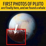 Οι πρώτες φωτογραφίες του Πλούτωνα είναι επιτέλους εδώ και βρήκαμε μια φάλαινα
