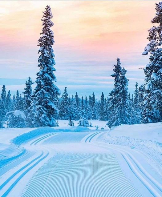Χειμερινό σκι στο Sjusjoen, Νορβηγία... 1