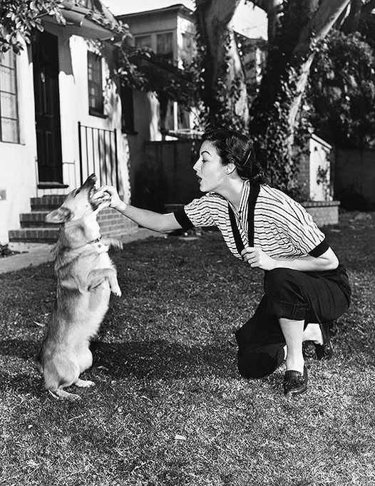Η Ava Gardner με το κατοικίδιο corgi της, Rags, περίπου το 1952.... 1