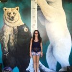 Μεγέθη διαφορετικών αρκούδων σε κλίμακα, για αναφορά, το άτομο στη φωτογραφία εί...