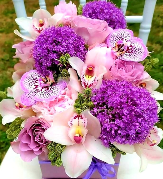 Τα χρώματα των λουλουδιών υπέροχα !!... 1