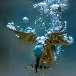 Υποβρύχια λήψη του Kingfisher σε δράση Jaap La Brijn #Earth #Nature #HomePla...