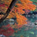 Φθινόπωρο στο Κιότο της Ιαπωνίας...