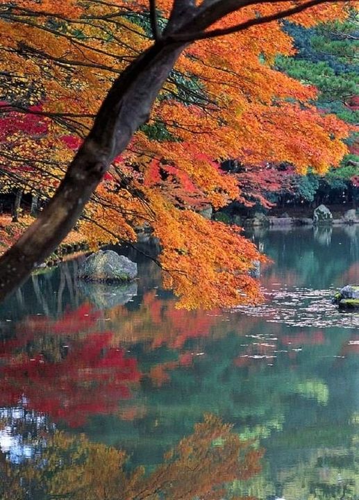 Φθινόπωρο στο Κιότο της Ιαπωνίας... 1