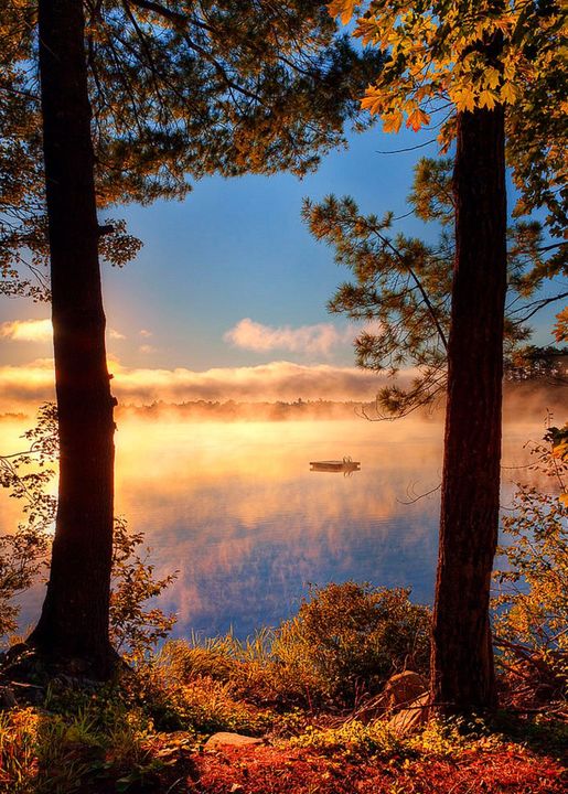 Morning Mist στη λίμνη Echo, Σολοράντο, ΗΠΑ... 1