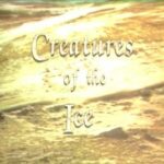 Ζαν-Μισέλ Κουστώ - Ιστορίες της Θάλασσας (Επ.2) Τα Πλάσματα του Πάγου (Creatures of the Ice) 1